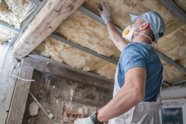 Best Blown-in Insulation in Goodland, IN