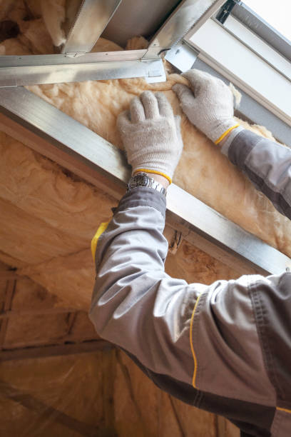 Best DIY Insulation Kits and Guidance in Goodland, IN